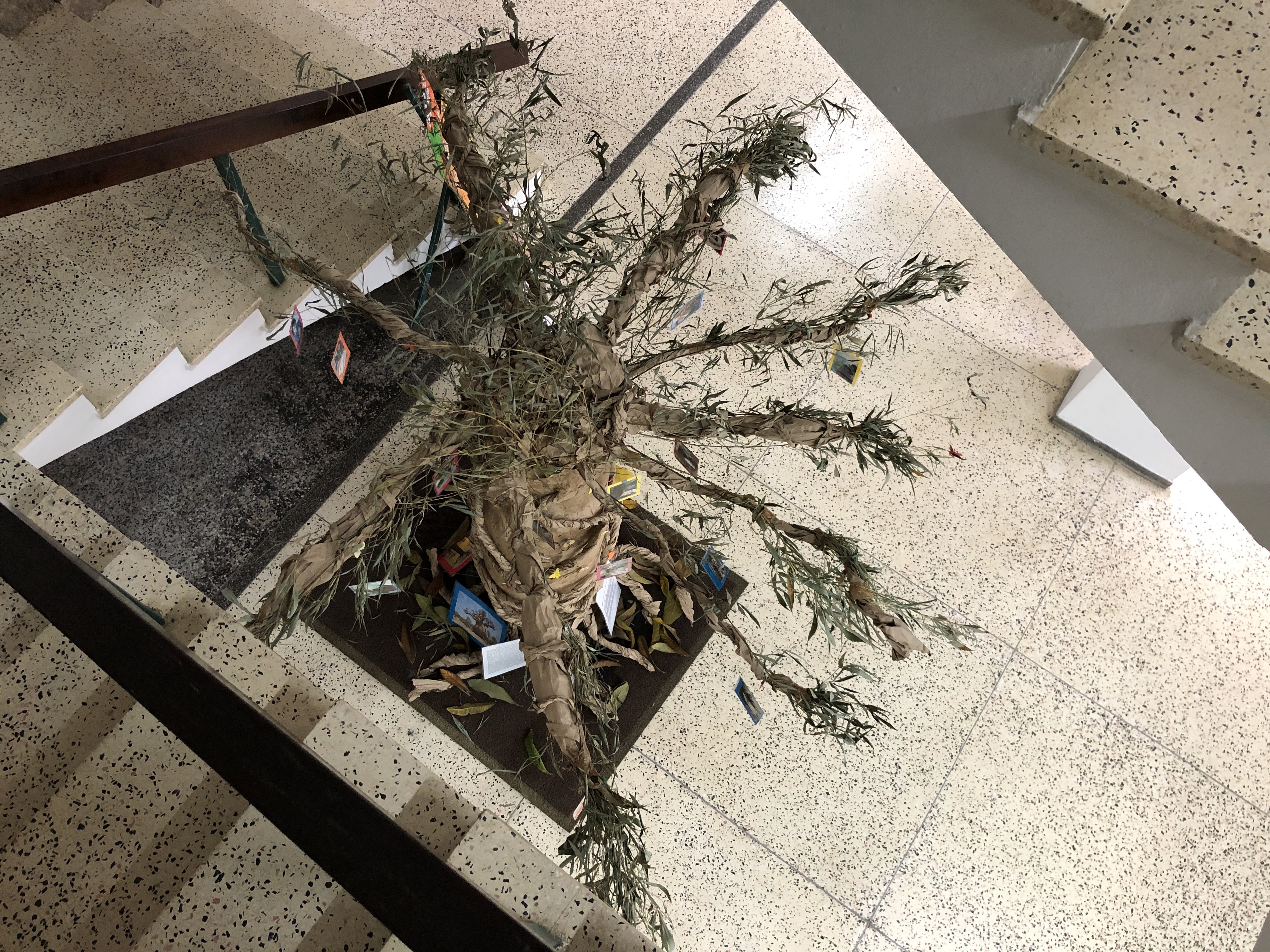 Mostra Cultural: “Representações, Símbolos e Saberes Afro-Paranaense” e “A presença dos Kaingangs, Guaranis e Xetás no Estado do Paraná” – APAE Costeira (SJP)