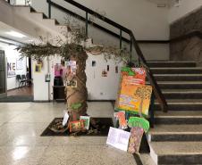 Mostra Cultural: “Representações, Símbolos e Saberes Afro-Paranaense” e “A presença dos Kaingangs, Guaranis e Xetás no Estado do Paraná” – APAE Costeira (SJP)