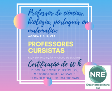 grupo de estudos porfessor formador